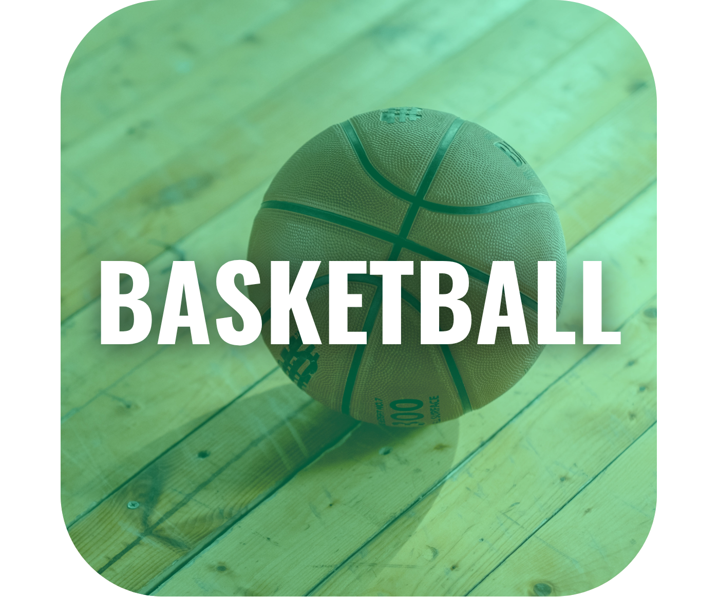 icon basket