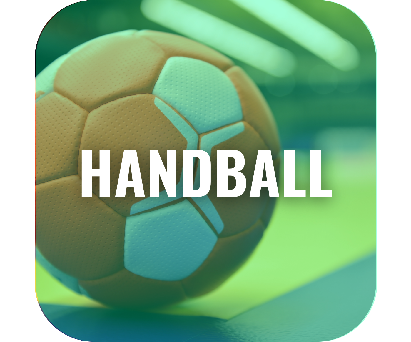 icon handball