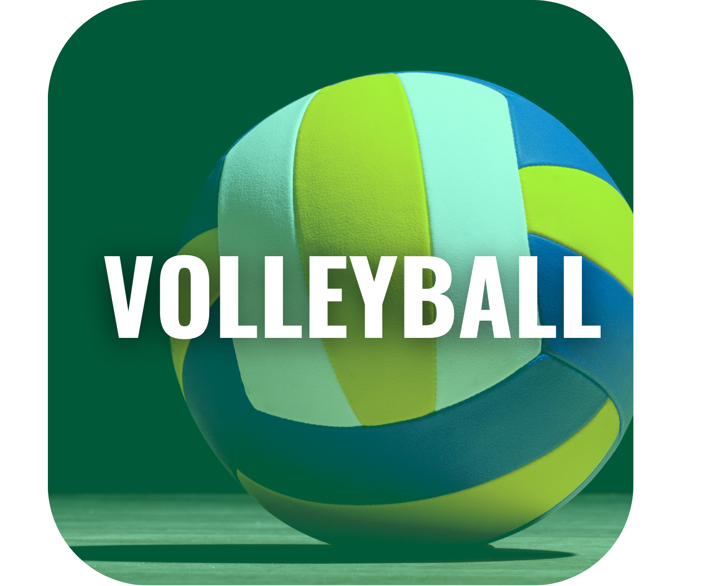 icon volley